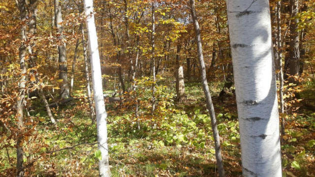 LOT 17 PINE ISLAND PT DR, BROWERVILLE, MN 56438, photo 3 of 13