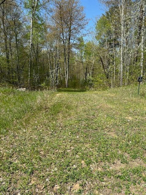 L1 TBD SHADOW POINT ROAD, EMILY, MN 56447, photo 1 of 4