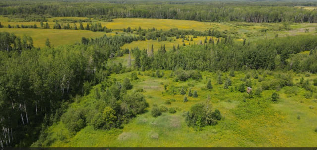 TBD COUNTY ROAD 42, EFFIE, MN 56639 - Image 1