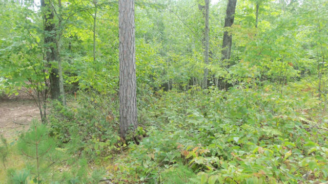 LOT 8 CTY HWY H, WEBSTER, WI 54893, photo 3 of 10