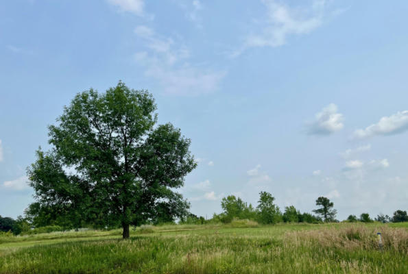 XXX LEAF POINT, LYND, MN 56157 - Image 1