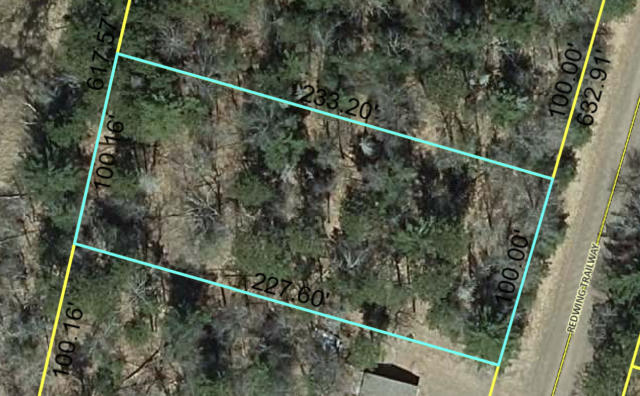 LOT 81 REDWING TRAIL WAY, DANBURY, WI 54830 - Image 1