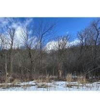LOT 9 185TH AVENUE, HAGER CITY, WI 54014 - Image 1