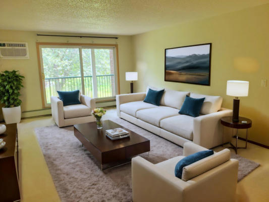 1700 FOUR OAKS RD APT 232, SAINT PAUL, MN 55121 - Image 1