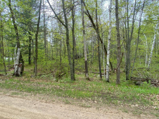 XXX ORCHID LOT 96 & 97, BREEZY POINT, MN 56472, photo 2 of 7