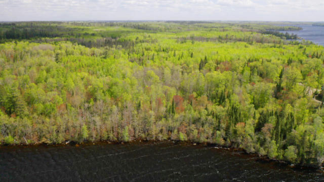 PARCEL B S NILES BAY FOREST ROAD, ORR, MN 55771, photo 3 of 10