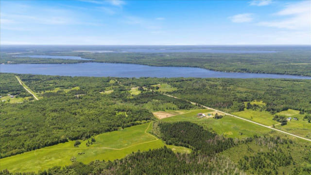 46182 COUNTY ROAD 4, TALMOON, MN 56637 - Image 1