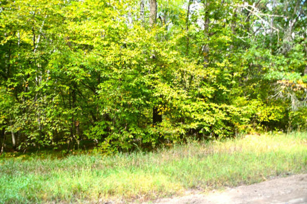 LOT 16 BLOCK 2 OLAF TRAIL, BROWERVILLE, MN 56438, photo 4 of 28
