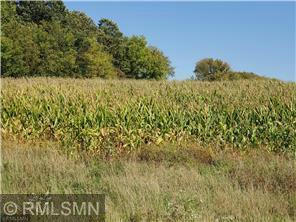 1141 178TH ST./DALTON FARM ROAD, LOT 19, HAMMOND, WI 54015, photo 1 of 3