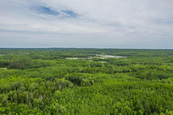 TBD 0140 WOODLAND DRIVE, DEER RIVER, MN 56636, photo 2 of 6