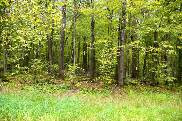 LOT 18 ODE CIRCLE, BROWERVILLE, MN 56438, photo 2 of 6