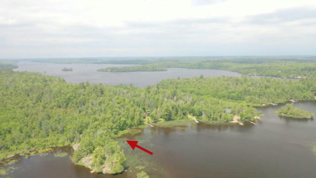 LOT 10 PINE NARROWS, TOWER, MN 55790 - Image 1