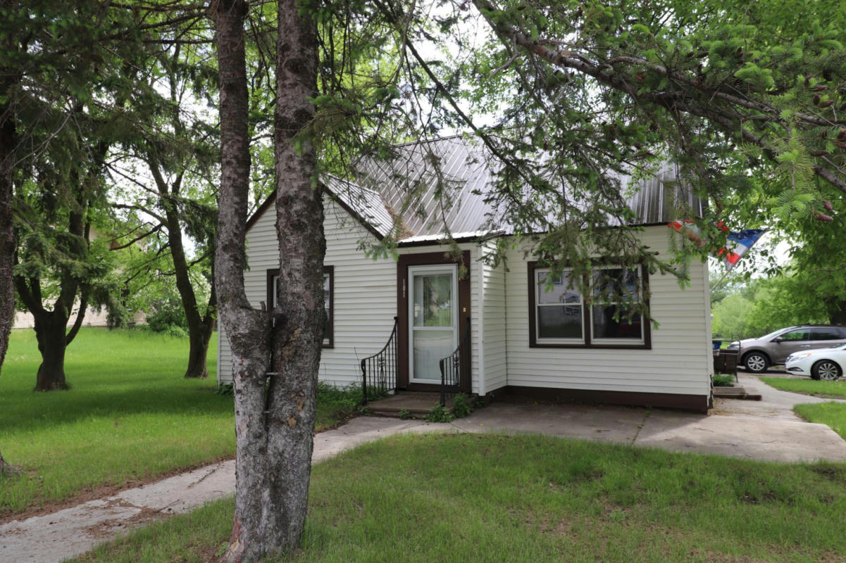 101 MAIN ST S, BROWERVILLE, MN 56438, photo 1 of 32