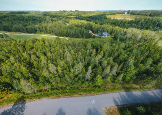 LOT 13 B2 PINE TREE LANE, COLERAINE, MN 55722 - Image 1