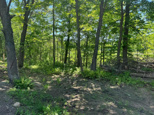 LOT 7+8 BAFFIE BEND, ONAMIA, MN 56450 - Image 1