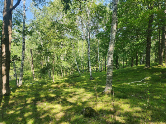 00 NARROW GAUGE, SHELL LAKE, WI 54813 - Image 1