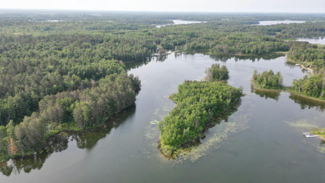 22510 SPIDER ISLAND, NEVIS, MN 56467 - Image 1