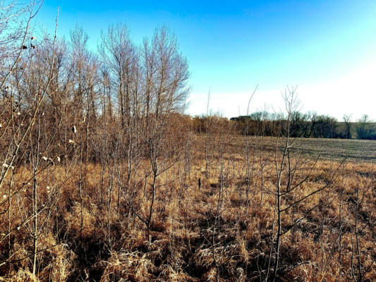 TBD-PARCEL 4 160TH STREET, CLITHERALL, MN 56524 - Image 1