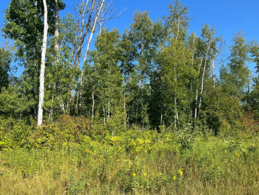 TBD 15 ACRE COUNTY 55 ROAD, REMER, MN 56672 - Image 1