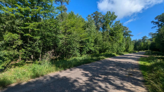 TBD BUCKHORN TRAIL, MERRIFIELD, MN 56465 - Image 1