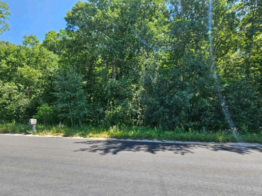 LOT 72 ROOSEVELT AVENUE, DRESSER, WI 54009 - Image 1