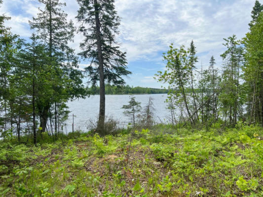 LOT B N MOOSE LAKE ROAD NE, PENNINGTON, MN 56663 - Image 1