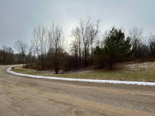 LOT 10 776TH AVENUE, SPRING VALLEY, WI 54767 - Image 1