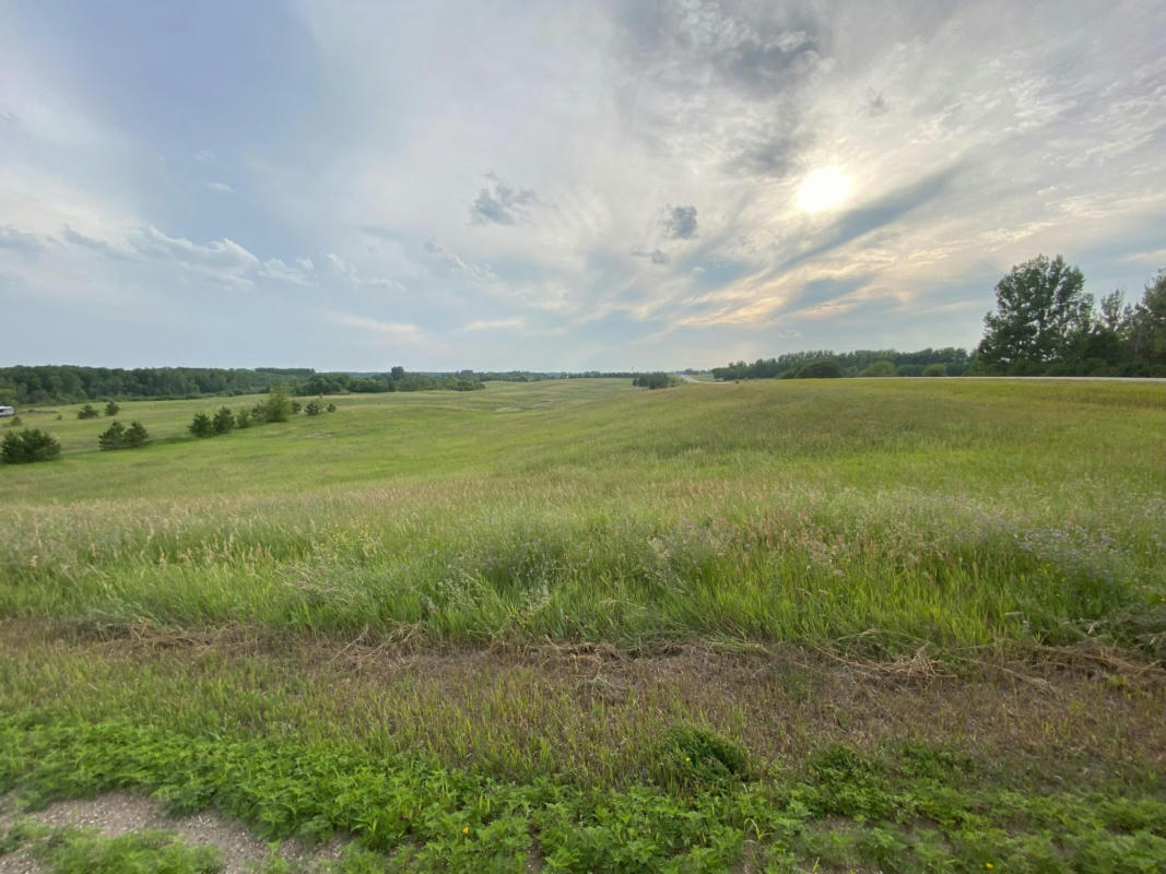 LOT 1 BLOCK 1 TASHA DRIVE, GARFIELD, MN 56332, photo 1