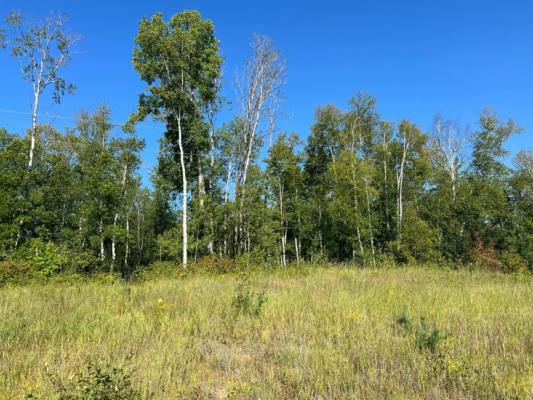 TBD 15 ACRE COUNTY 55 ROAD, REMER, MN 56672, photo 4 of 6