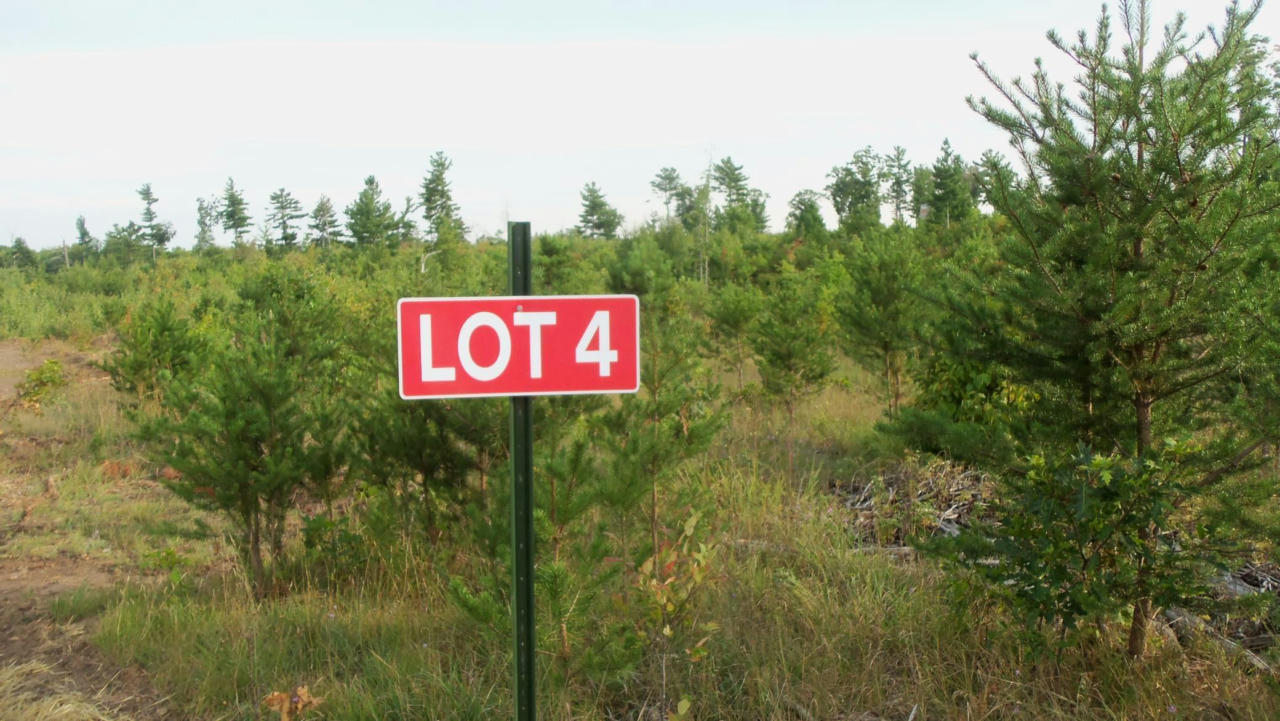 LOT 4 HIGH RIDGE TRL, WEBSTER, WI 54893, photo 1 of 6