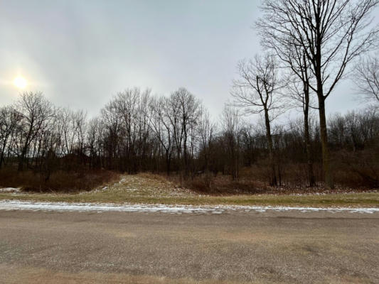 LOT 10 776TH AVENUE, SPRING VALLEY, WI 54767, photo 4 of 6