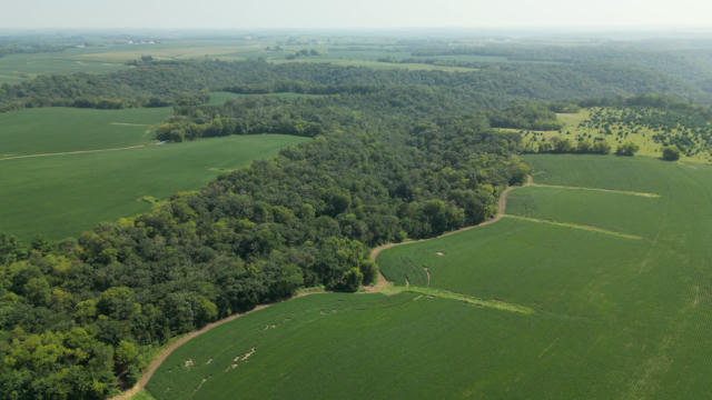 TBD 310TH STREET, LANESBORO, MN 55949 - Image 1