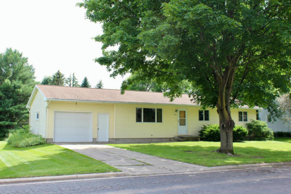 433 2ND ST SW, BLOOMING PRAIRIE, MN 55917 - Image 1