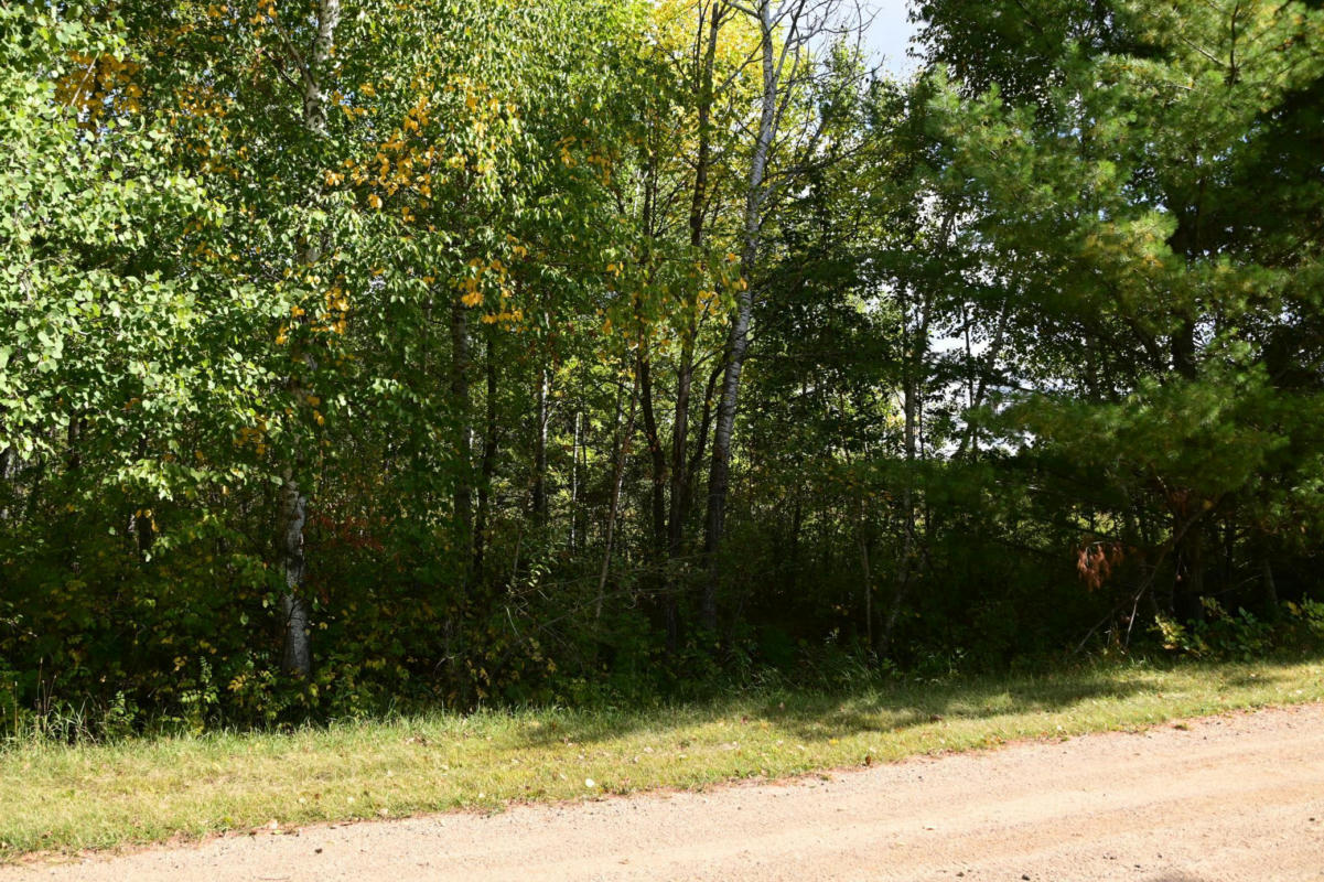 LOT 51 BLOCK 12 POPLAR LANE, BROWERVILLE, MN 56438, photo 1 of 17