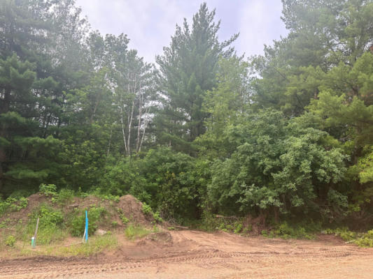 LOT 13 BLK 1 BRUMMER DRIVE, RANDALL, MN 56475 - Image 1