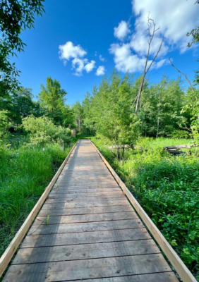 LOT D NORWOOD LANE, BATTLE LAKE, MN 56515, photo 5 of 34