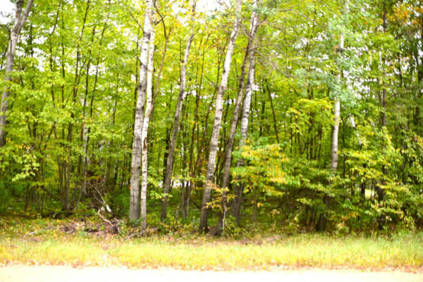 LOT 27 BLOCK 7 OAK DRIVE, BROWERVILLE, MN 56438 - Image 1