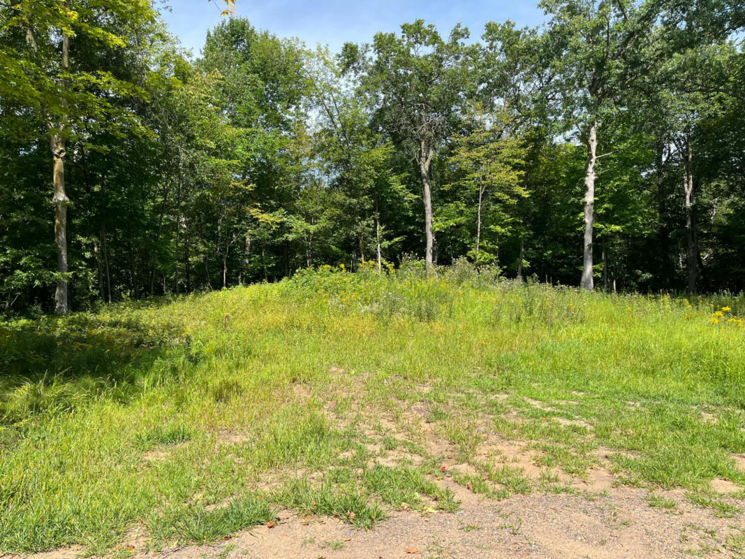 LOT 6 186TH AVE, BALSAM LAKE, WI 54810, photo 1 of 6