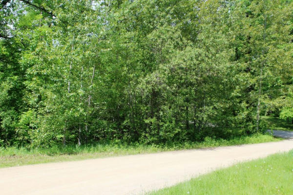 LOT 6 KINGSTON WAY, WALKER, MN 56484, photo 4 of 5