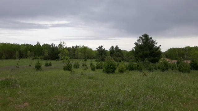 XXX ORB DRIVE, BROWERVILLE, MN 56438 - Image 1