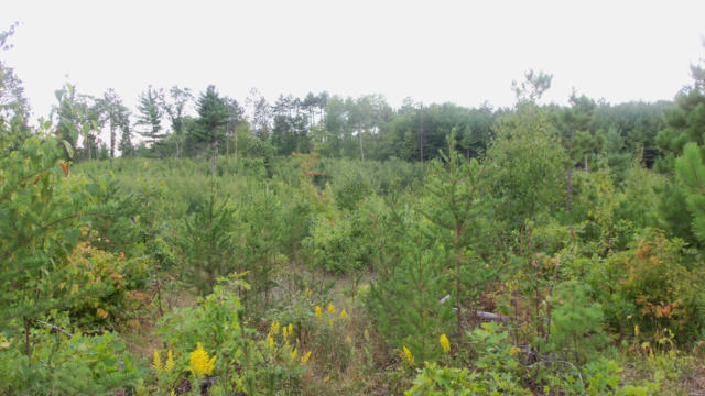LOT 2 HGH RIDGE TRL, WEBSTER, WI 54893, photo 5 of 5