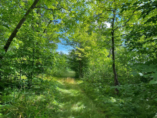 PARCEL C LAKE BREEZE LANE NE, LONGVILLE, MN 56655, photo 2 of 4