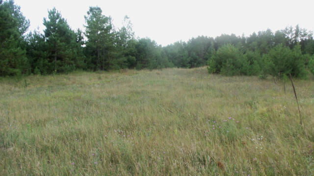LOT 2 HGH RIDGE TRL, WEBSTER, WI 54893, photo 4 of 5