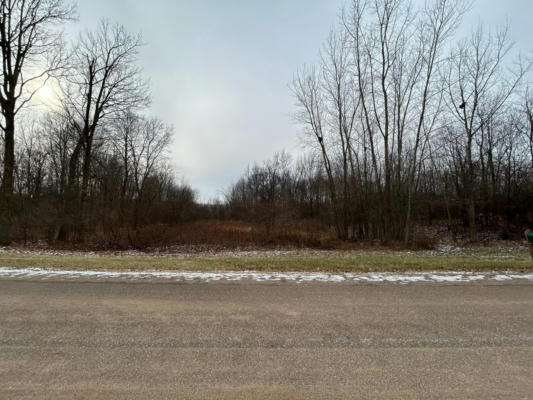 LOT 10 776TH AVENUE, SPRING VALLEY, WI 54767, photo 3 of 6
