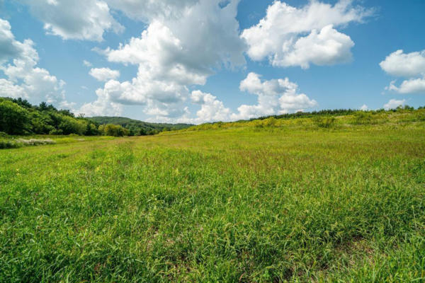 LOT 1 EIMON ROAD, OSSEO, WI 54758 - Image 1