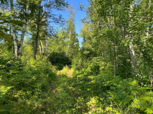 TBD 15 ACRE COUNTY 55 ROAD, REMER, MN 56672, photo 2 of 6