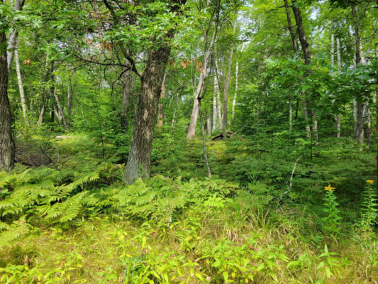 TBD WILDERNESS TRAIL, CROSSLAKE, MN 56442, photo 3 of 11