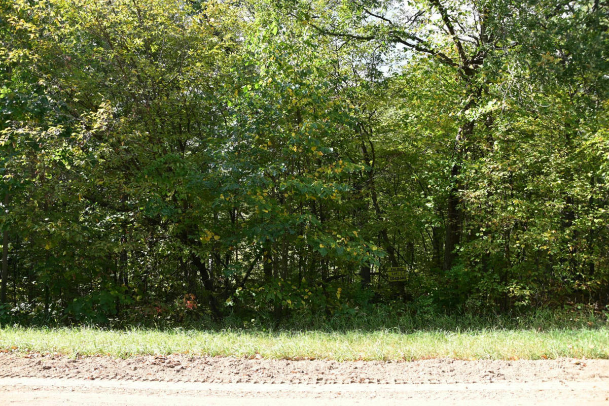 LOT 16 PINE ISLAND PT DR, BROWERVILLE, MN 56438, photo 1 of 14