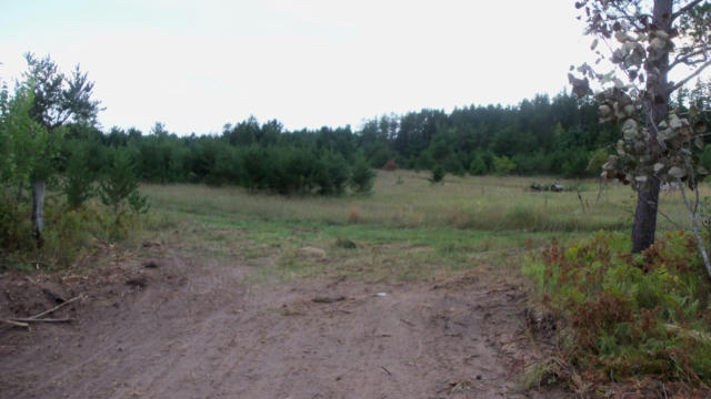 LOT 2 HGH RIDGE TRL, WEBSTER, WI 54893, photo 3 of 5