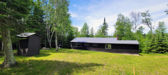 46636 N STAR LAKE RD, MARCELL, MN 56657 - Image 1